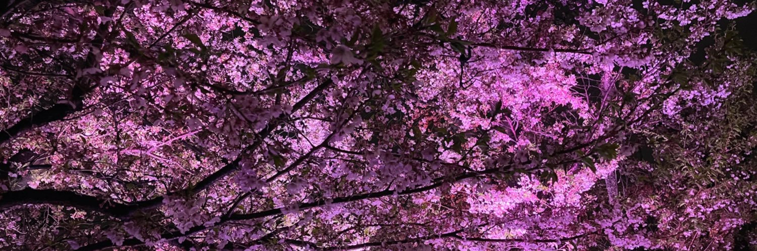 Hiroko6723's profile banner image