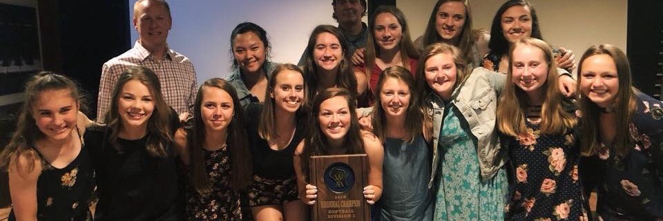 tesoftball's profile banner image