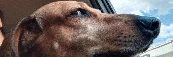 terirocha75's profile banner image