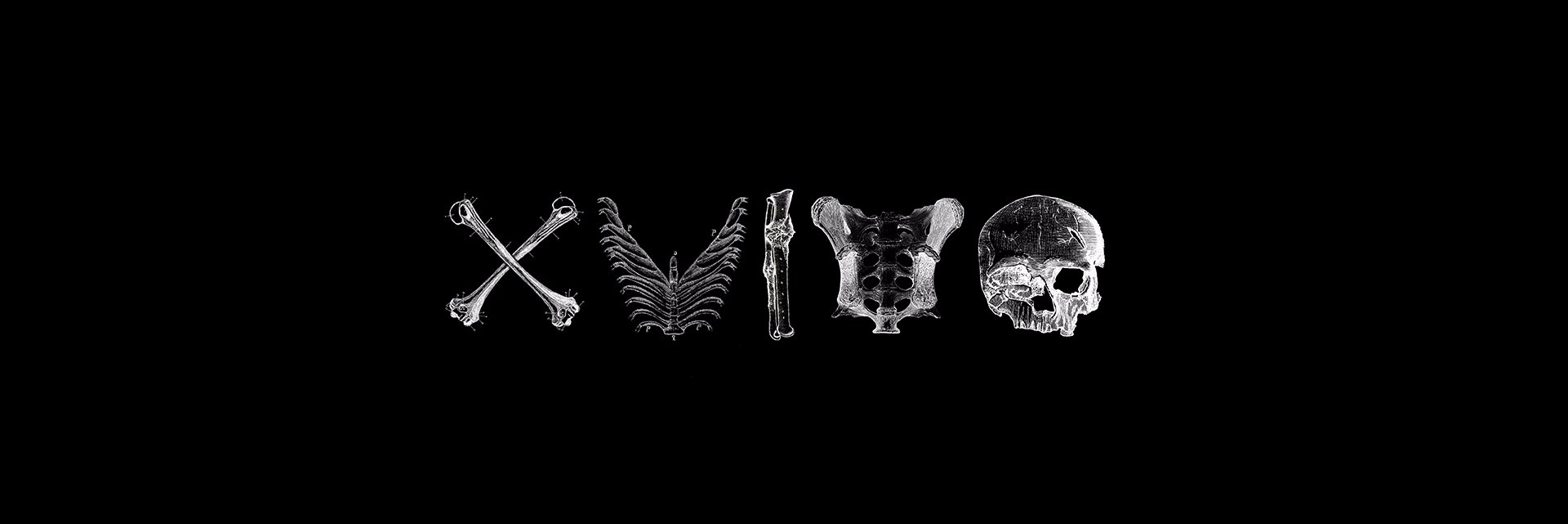 DSalva_9's profile banner image