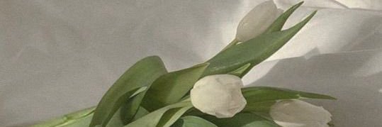 brisaaaserrano's profile banner image
