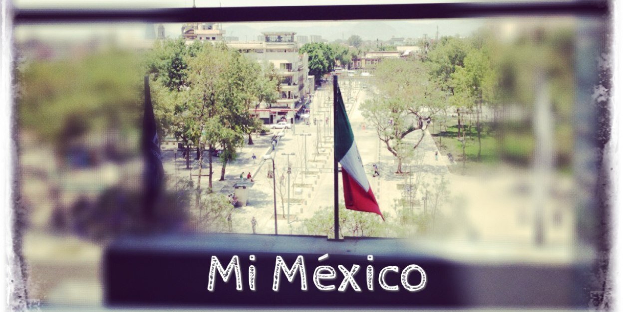 R.Isela Mtz. Patraca banner