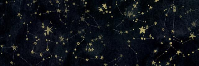 seevvyy's profile banner image