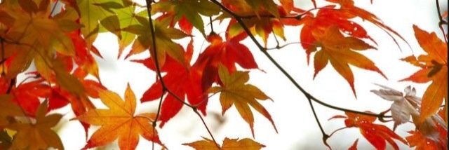 BeckySheets2's profile banner image