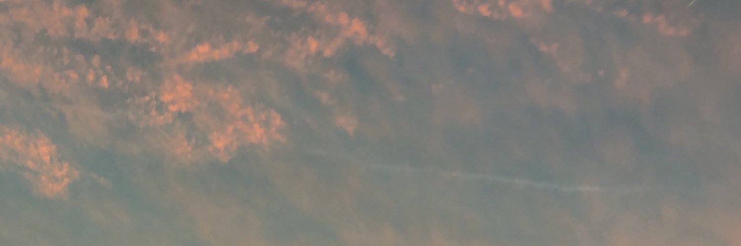 thee_sapof's profile banner image