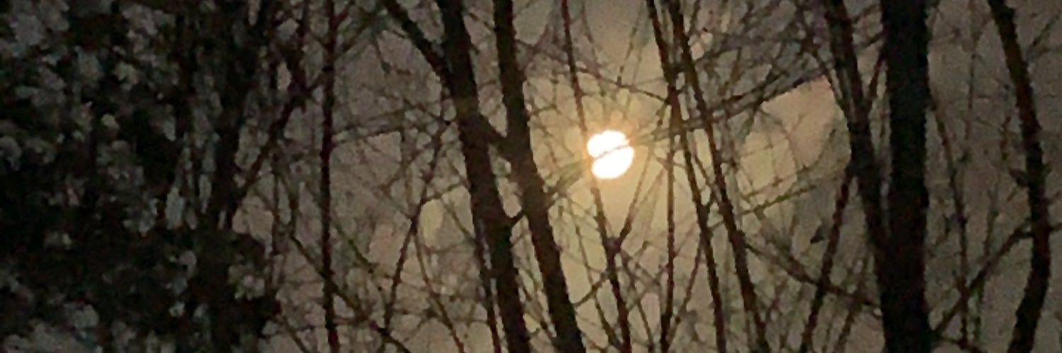 fzzyfrank's profile banner image