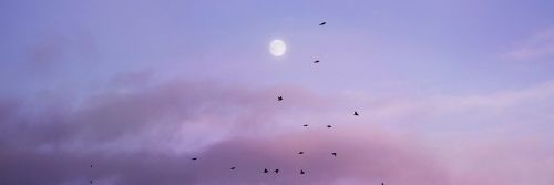 mayalwaysawesom's profile banner image