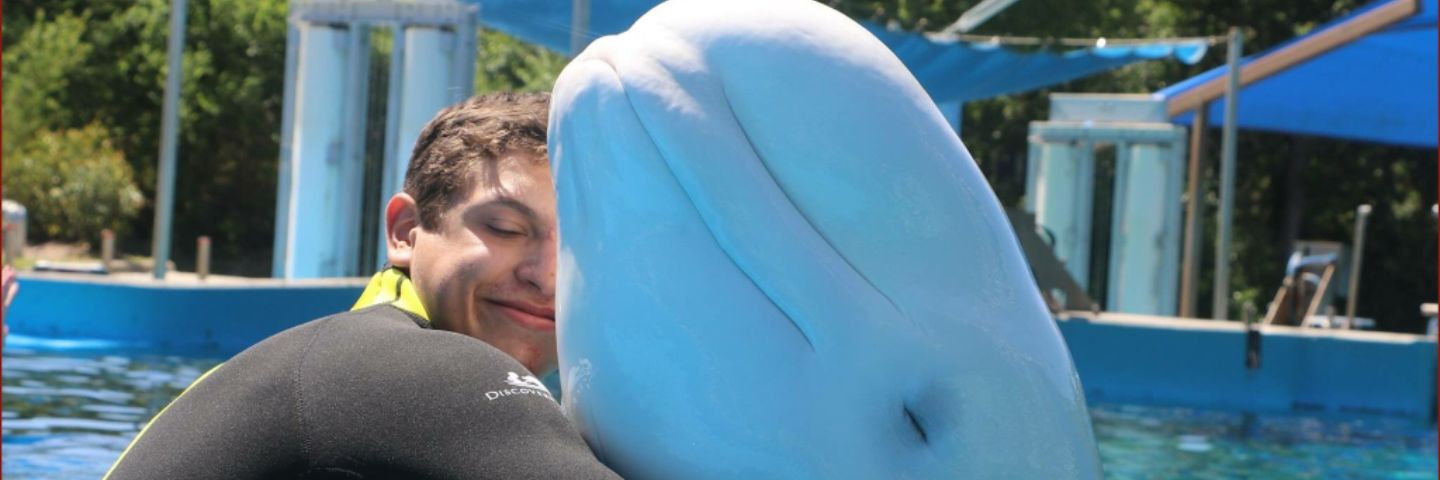 Joshcd626's profile banner image