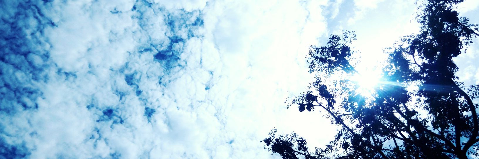 RUENY_OFICIAL's profile banner image