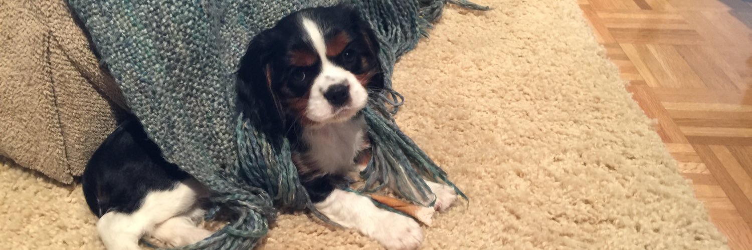 JoeBobBilly's profile banner image