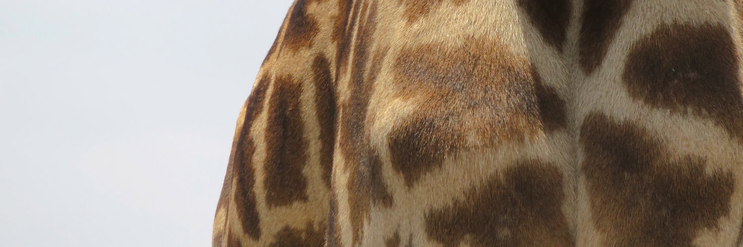 isabelmgz's profile banner image