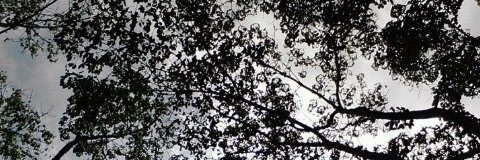 mitamita_'s profile banner image