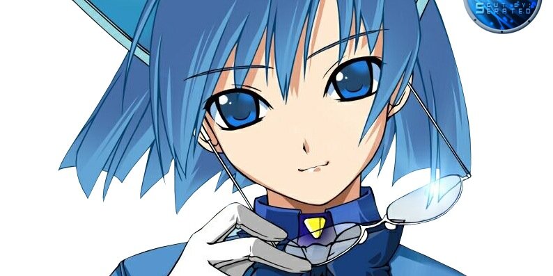 Professionalcat banner