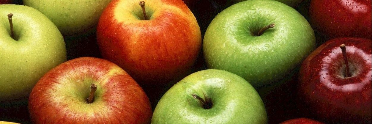 PA BATs R Pro Charter Reform banner