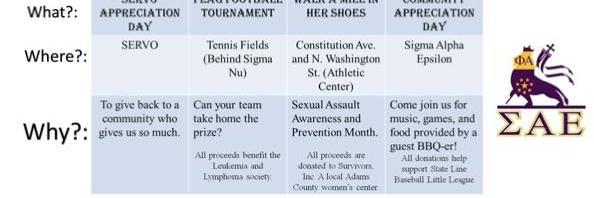 Sigma Alpha Epsilon banner