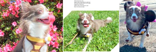 yuagaga Profile Banner