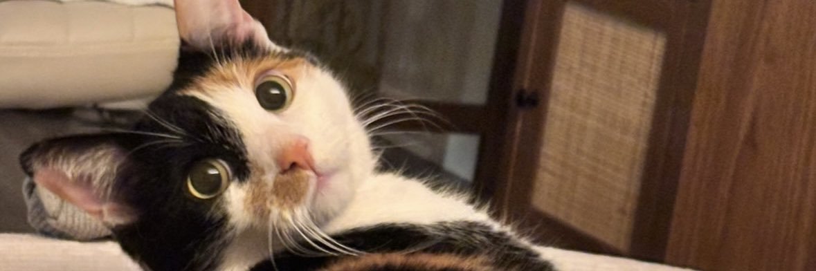 srssuarez's profile banner image
