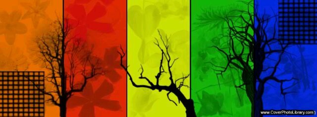 elindda's profile banner image