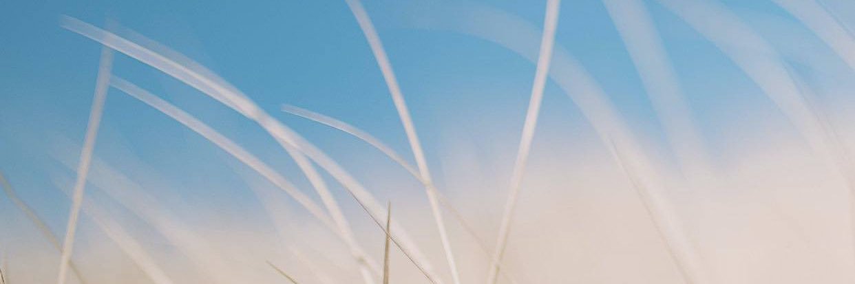 poz_ChinitoCute's profile banner image