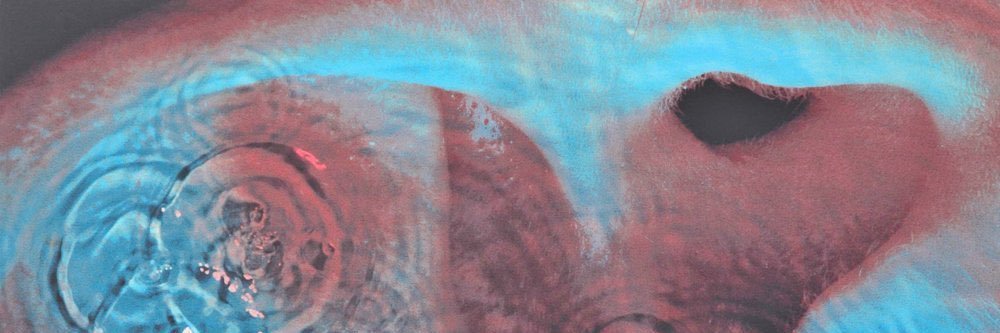 Ollieweir_'s profile banner image