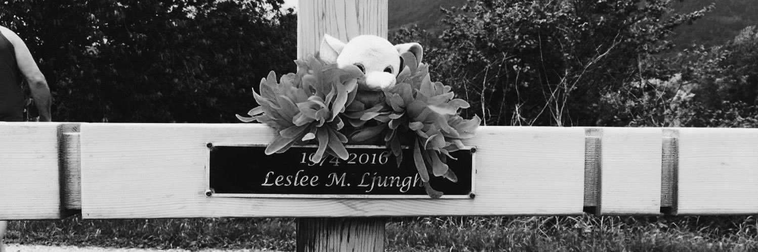 ELjungh's profile banner image