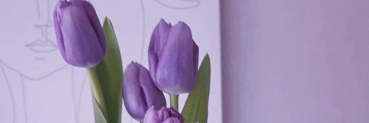 tomlinsnperrie's profile banner image