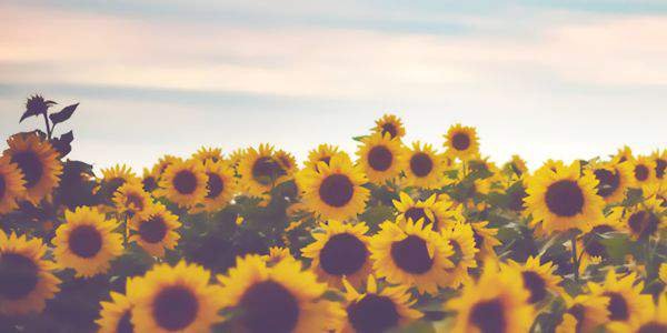 Ratihpuspitha3's profile banner image
