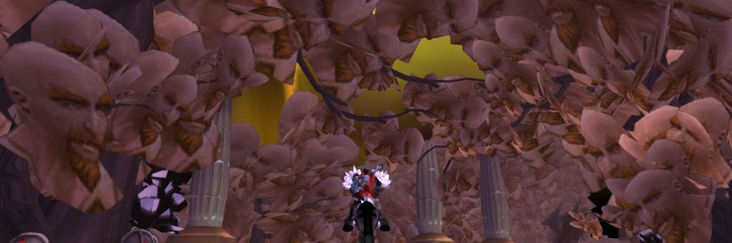 Tradwarden's profile banner image