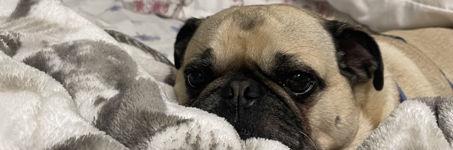 xkkacy's profile banner image