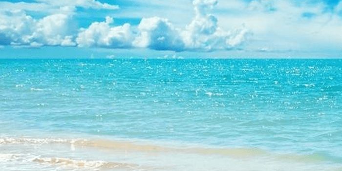 Prittaa_'s profile banner image