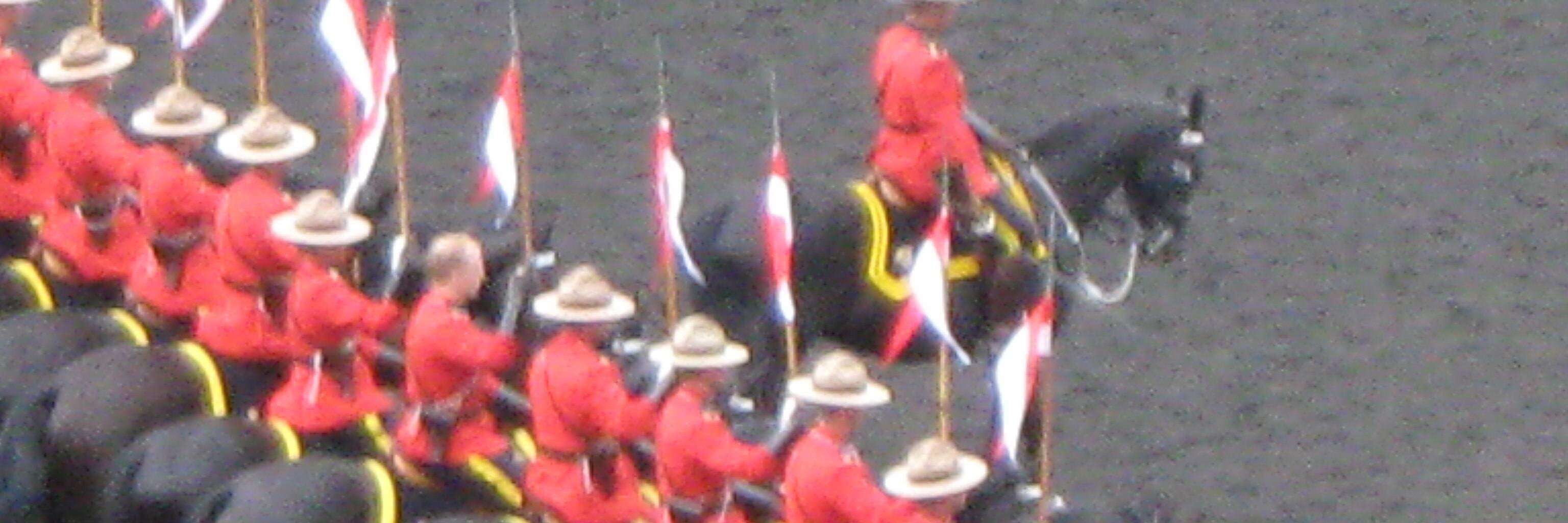 JS-Success 🌊 @SandraVickery@mastodon.sdf.org banner