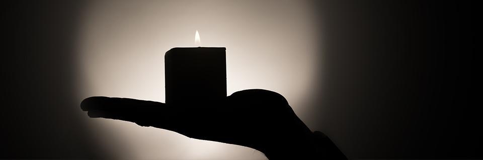 MindfulOrganic's profile banner image