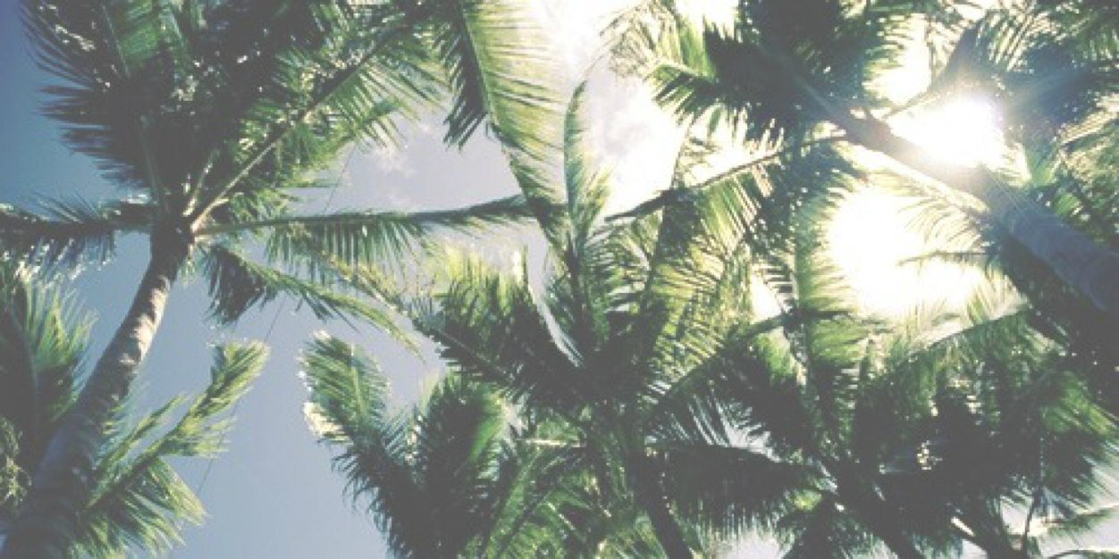 niallprdgdr's profile banner image