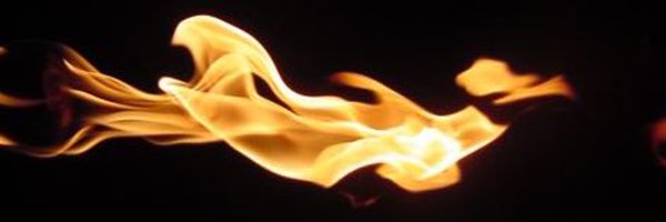 ex_rauxa Profile Banner