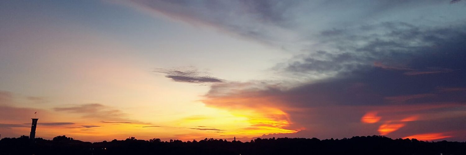 venessaneo's profile banner image