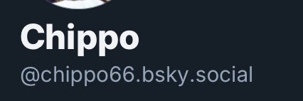 Chippo_66's profile banner image