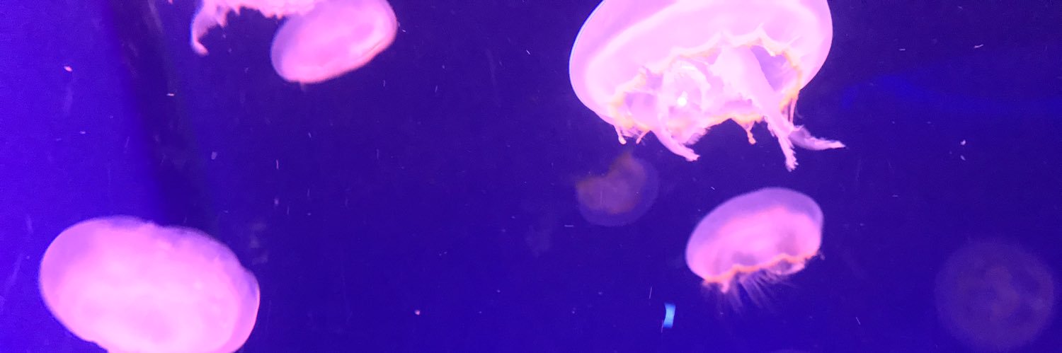 ami1230f's profile banner image