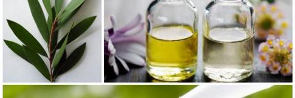 foracneID Profile Banner