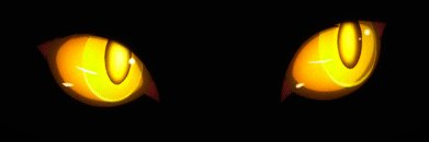 Stuck in a loop banner