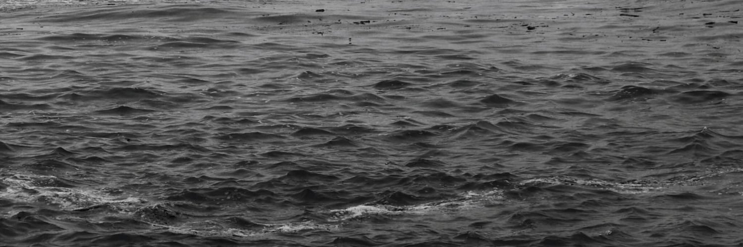 Combative_Post banner