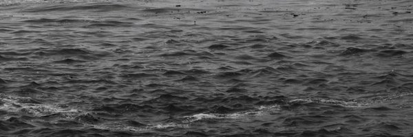 CPXHC_Official Profile Banner