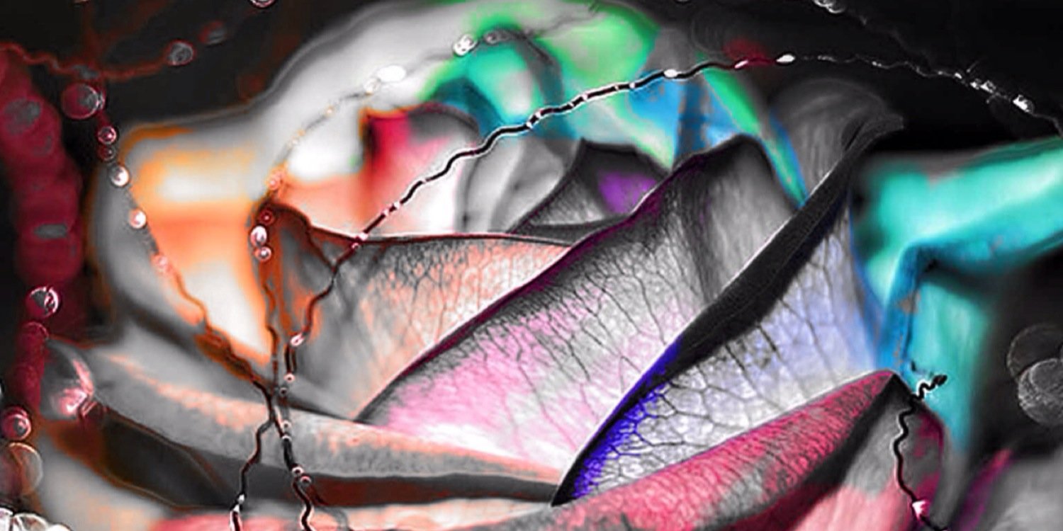 joey0418's profile banner image