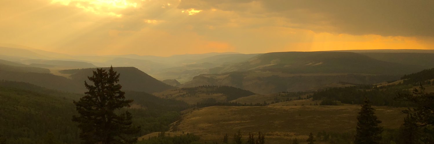 ShooterF16's profile banner image