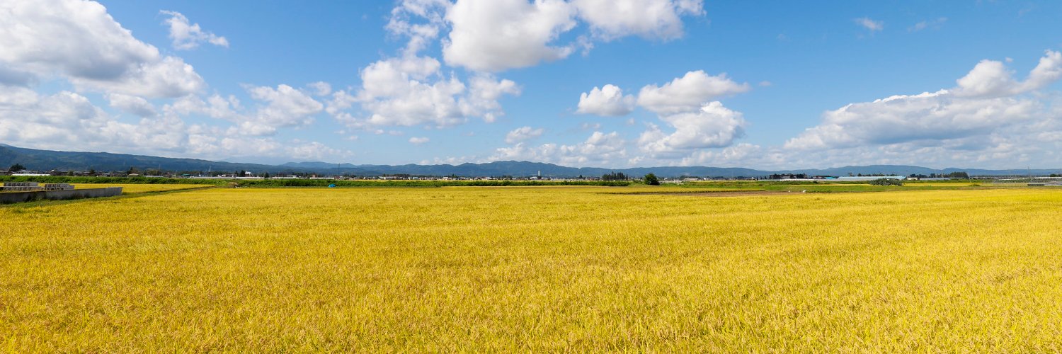 るふぃや banner