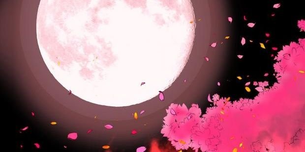 onionpotechi's profile banner image