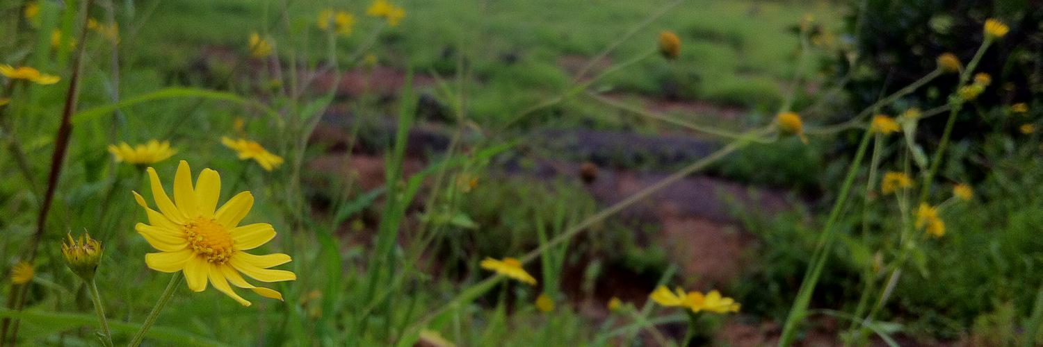 songromore's profile banner image