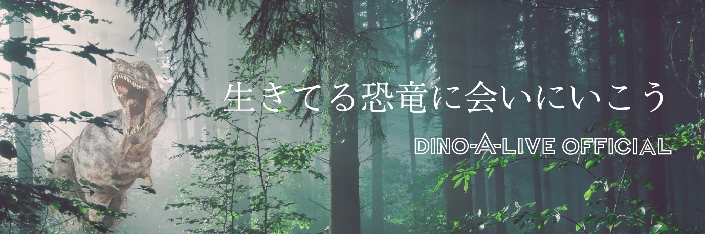 【公式】DINO-A-LIVE（ディノアライブ）'s banner