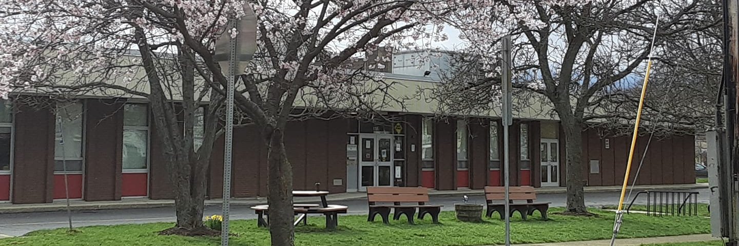 Olean Public Library banner