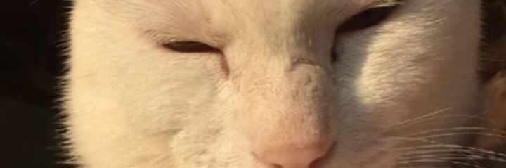 zelin_aba's profile banner image