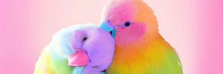 hihelloindah's profile banner image